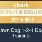 Dog Trainer Kent Award