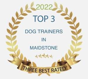 canine behaviourist Kent