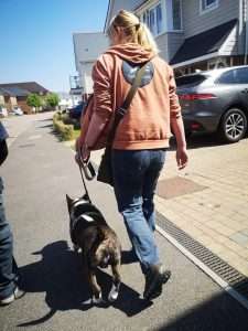 dog behaviourist maidstone kent