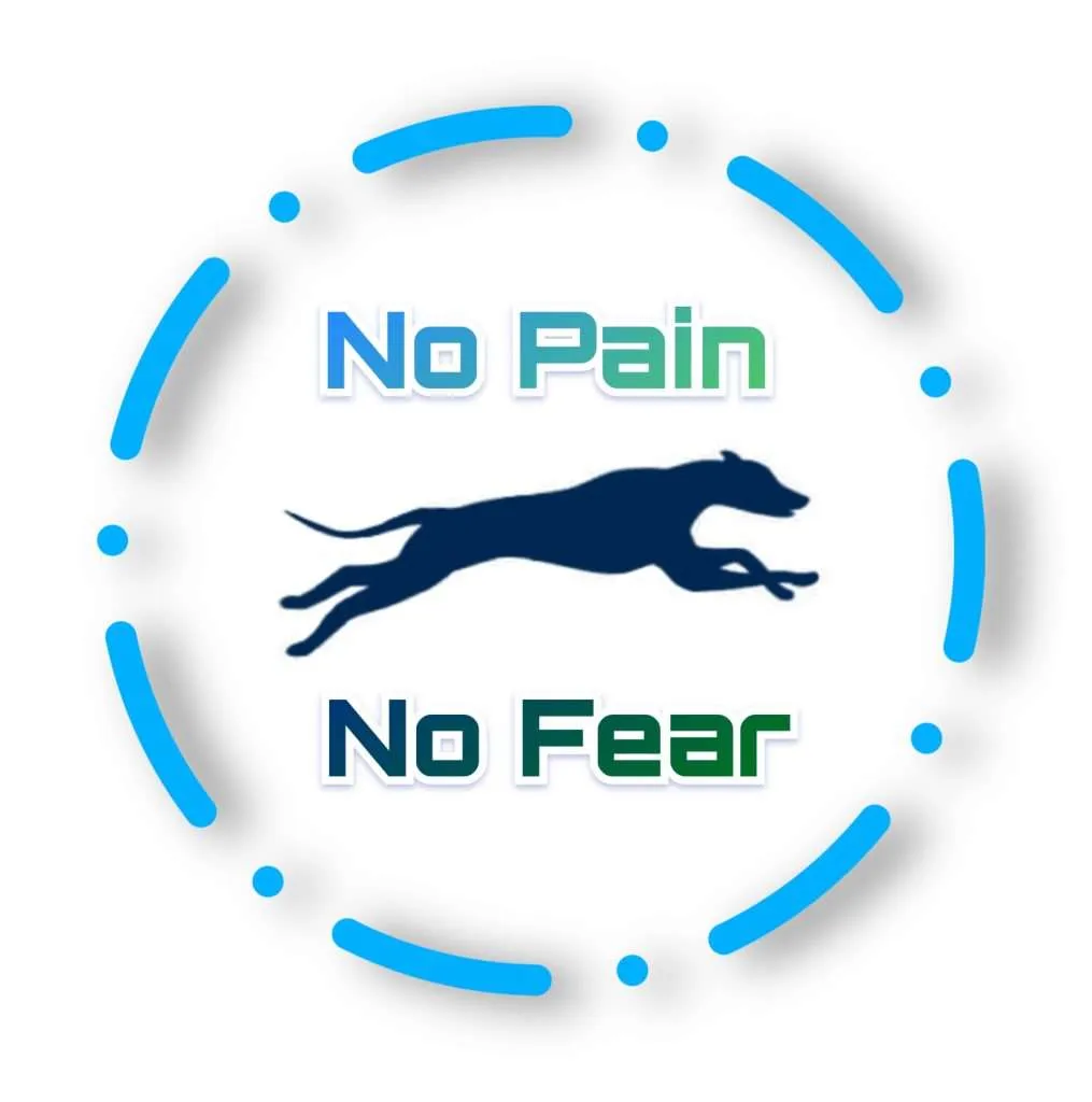 postive dog whisperer