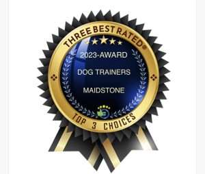 best dog trainers Kent