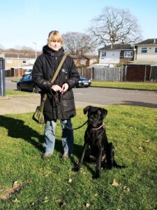 cane corso behaviourist
